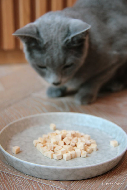 Freeze-dried Alaskan Pollack Mini Treats - Ume's Stash