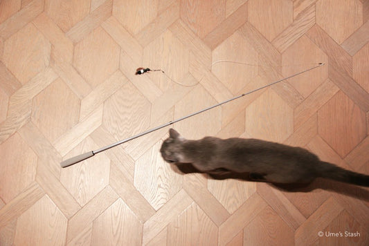 Lightning cat wand - Ume's Stash