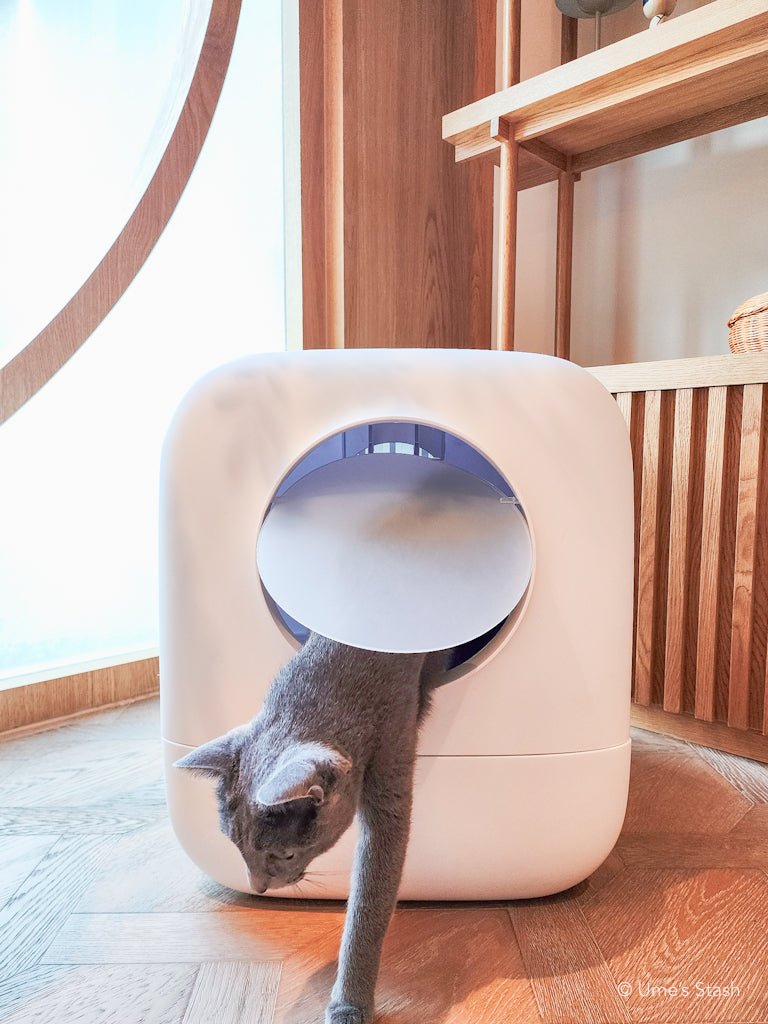 Nimbus litter box - Ume's Stash
