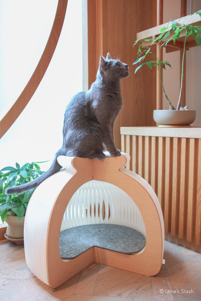 Origami pet house - Ume's Stash