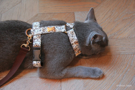 Paddington H - harness - Ume's Stash