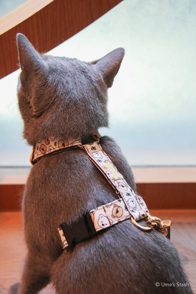 Paddington H - harness - Ume's Stash