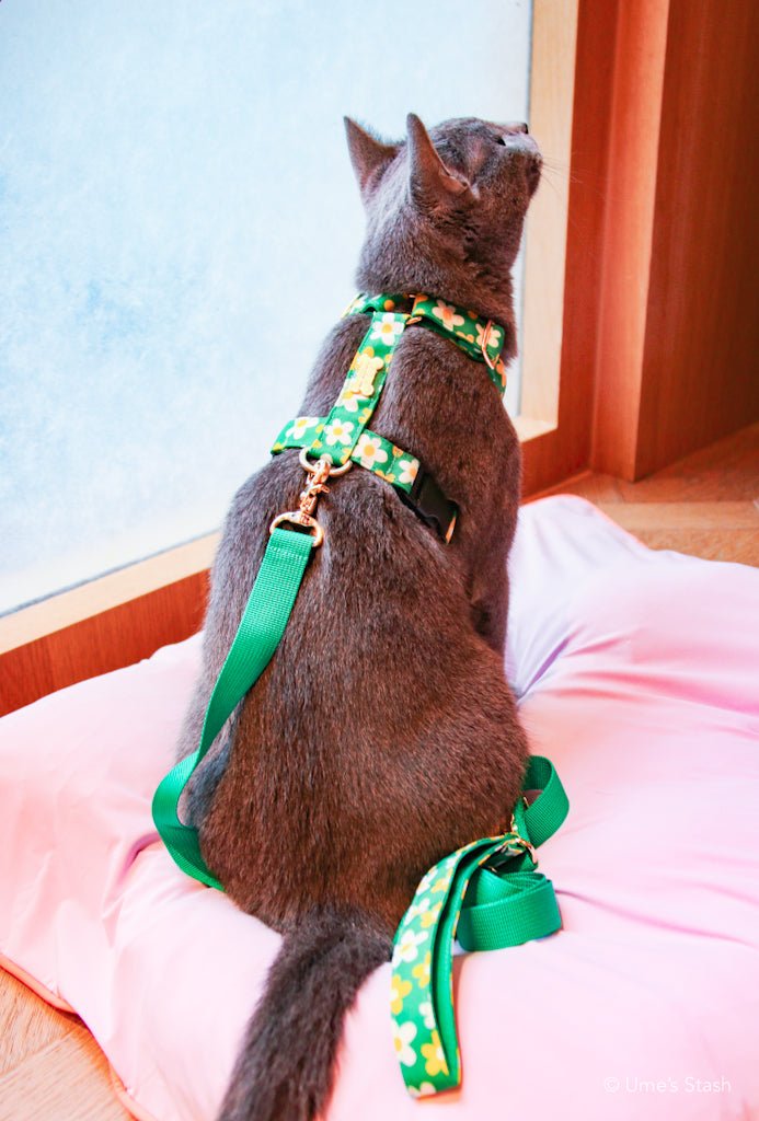 Picnic H - harness - Ume's Stash