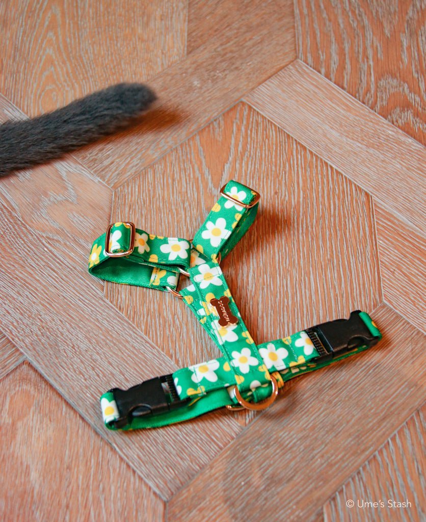 Picnic H - harness - Ume's Stash