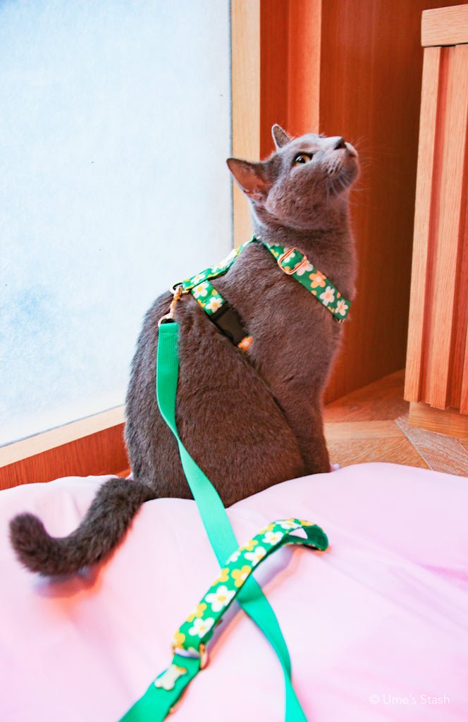 Picnic hand leash - Ume's Stash