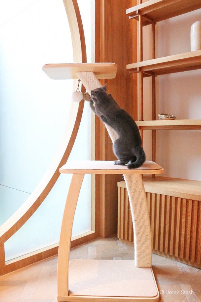 Baobab cat tree - Ume's Stash