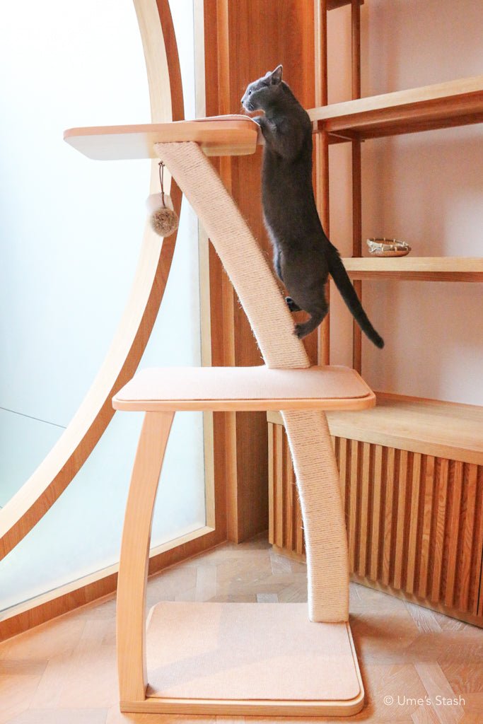 Elegant Baobab Cat Tree with Scratcher: Sturdy Stable – Ume's Stash