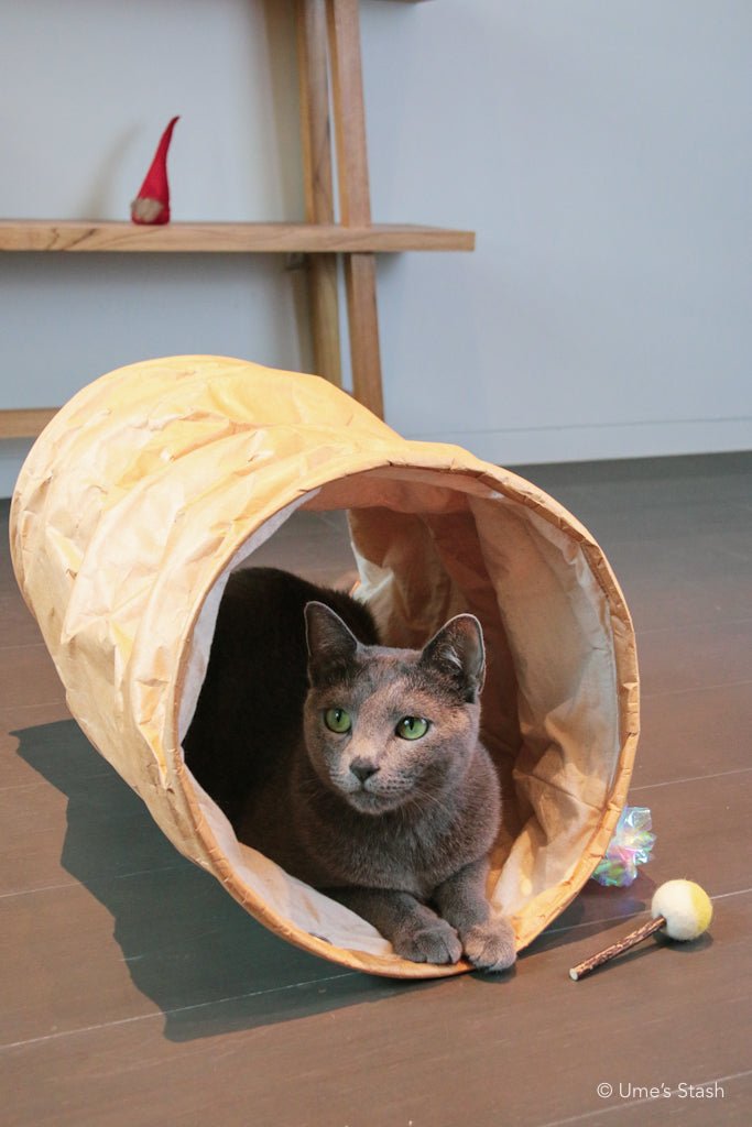 Durable Compact Playful Batard Cat Tunnel Ume s Stash