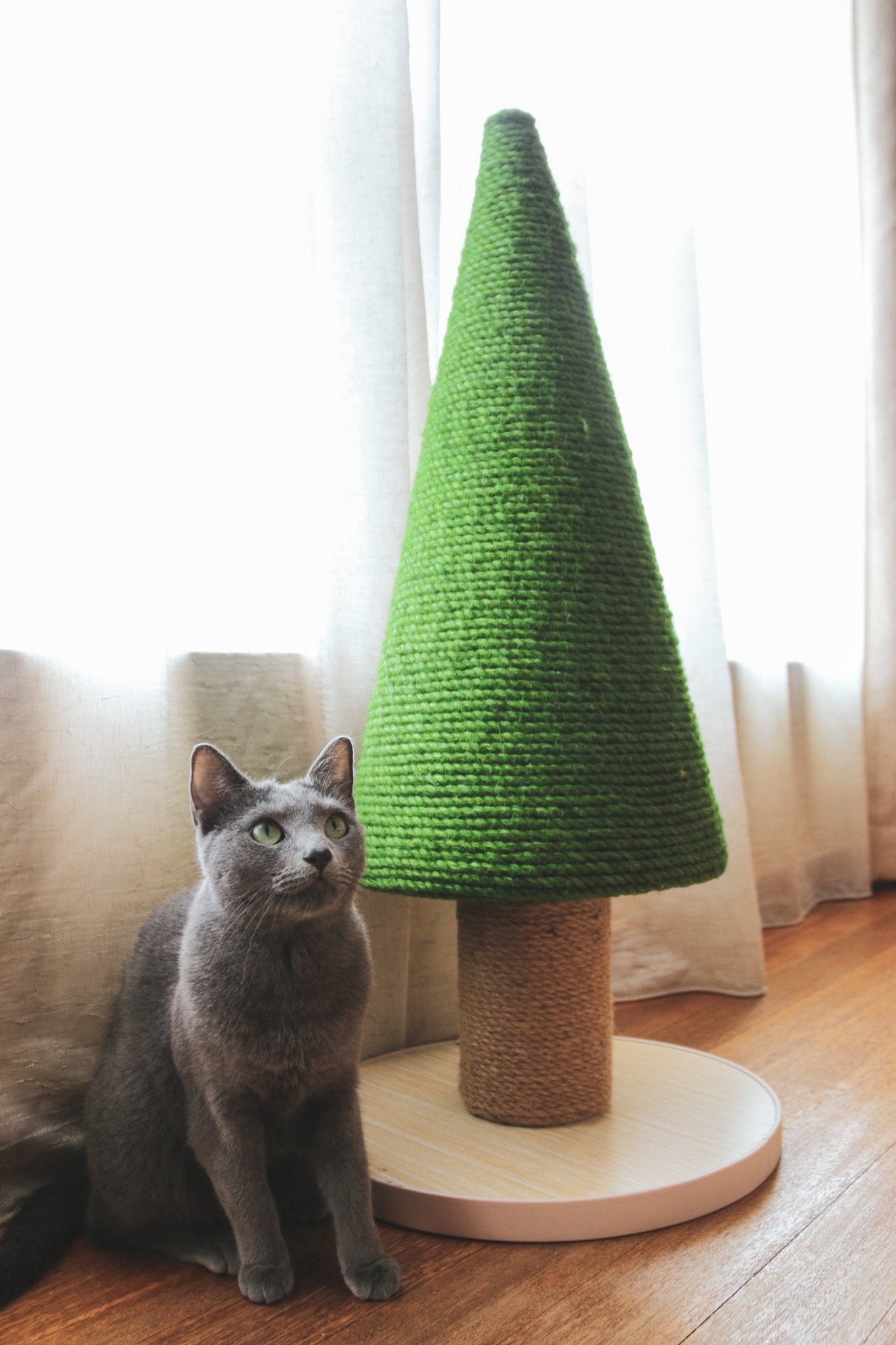 Cedar scratching post - Ume's Stash