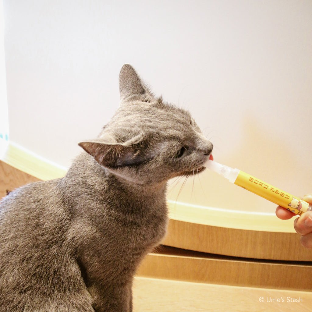 Chika Toothbrush Pen - Ume's Stash