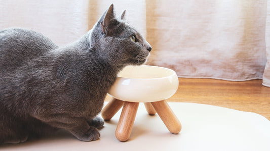 Cloud bowl - Ume's Stash