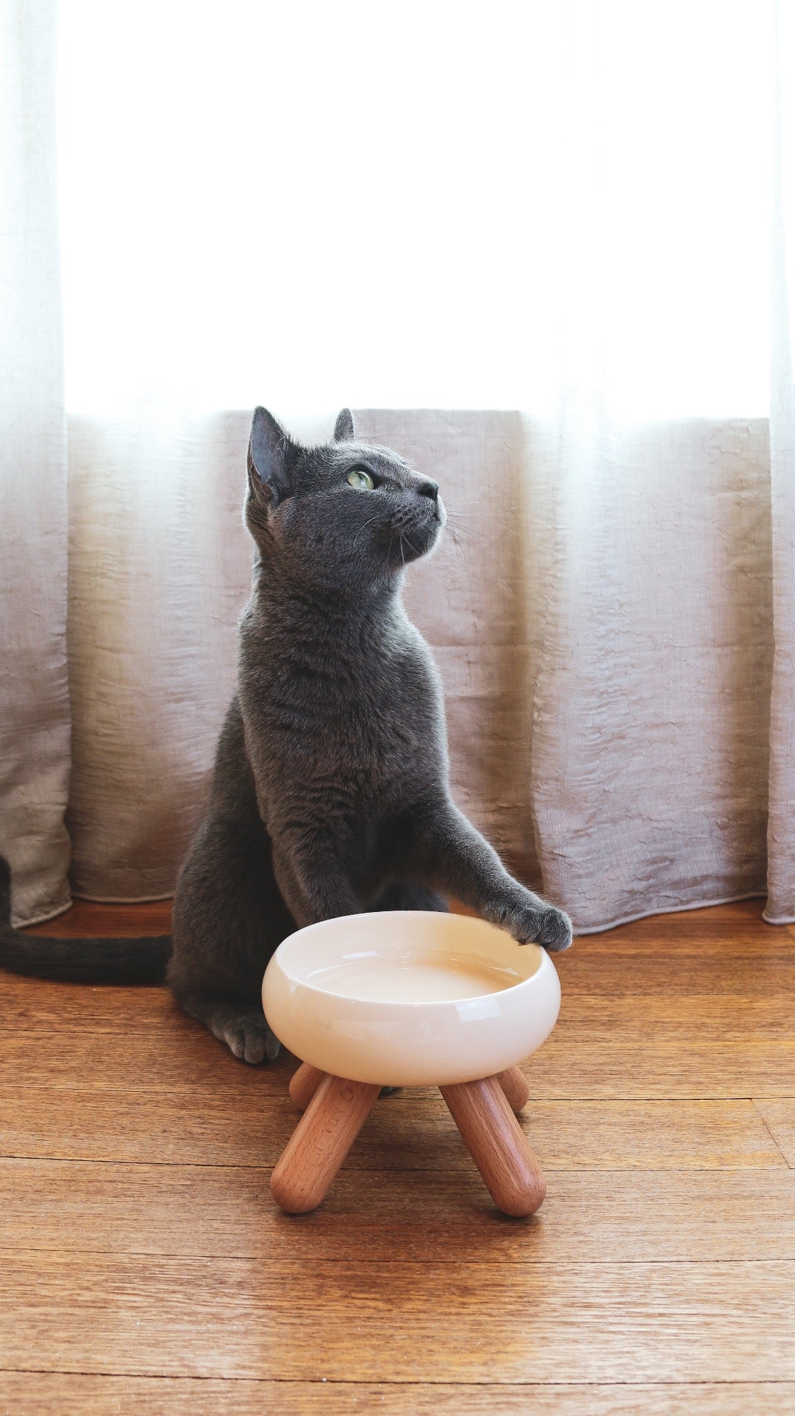 Cloud bowl - Ume's Stash