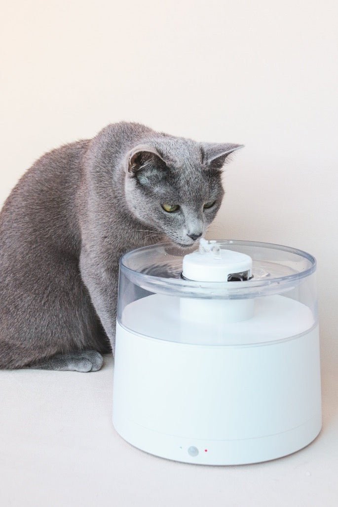 Wireless pet drinking fountain hotsell