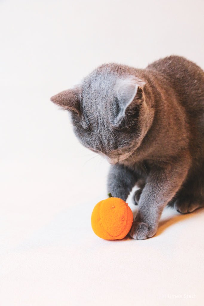 Mandarin orange toy - Ume's Stash
