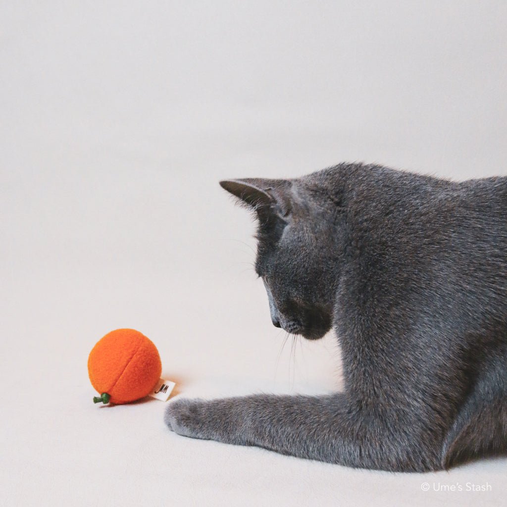 Mandarin orange toy - Ume's Stash