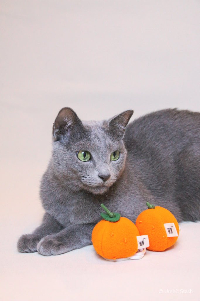 Mandarin orange toy - Ume's Stash