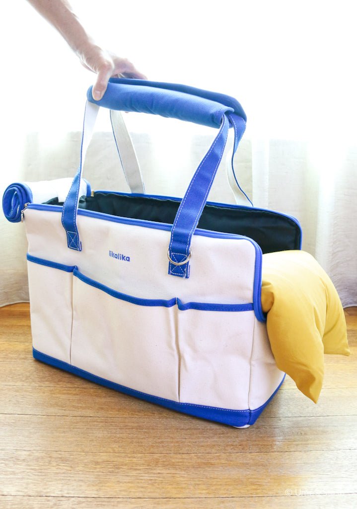 On-the-go pet carrier - Ume's Stash