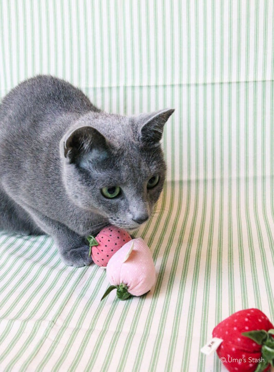 Strawberries - Ume's Stash
