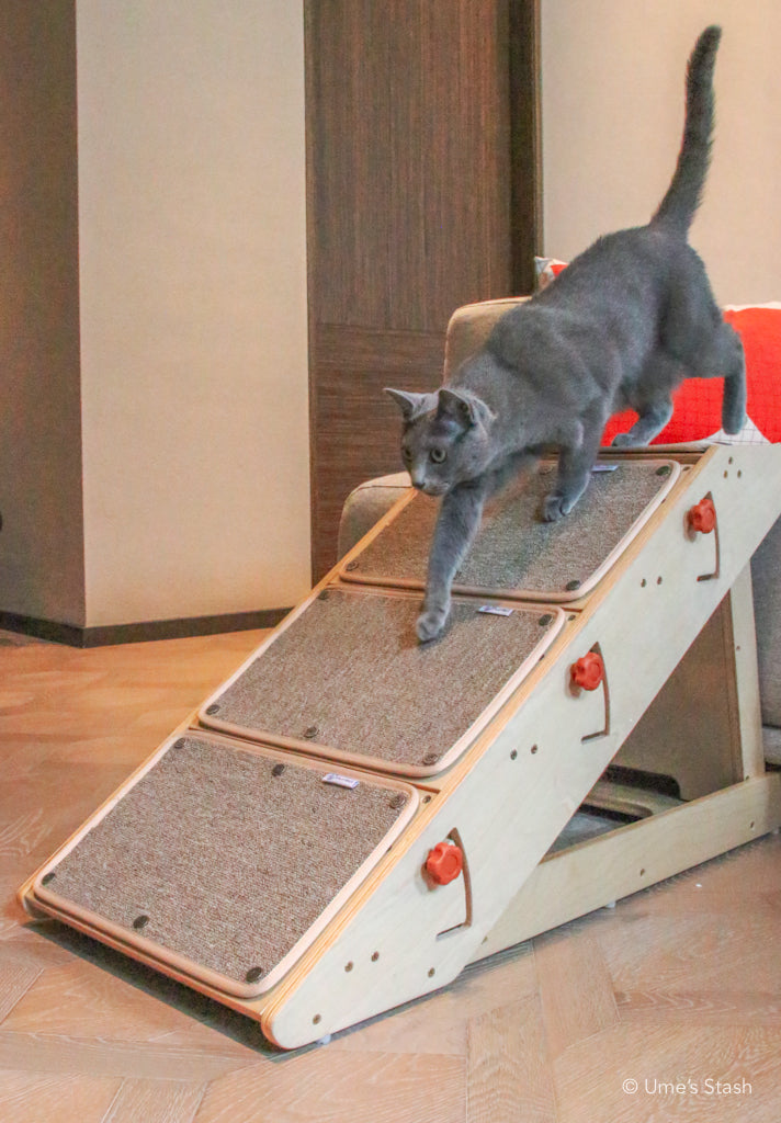 Pet step ramp