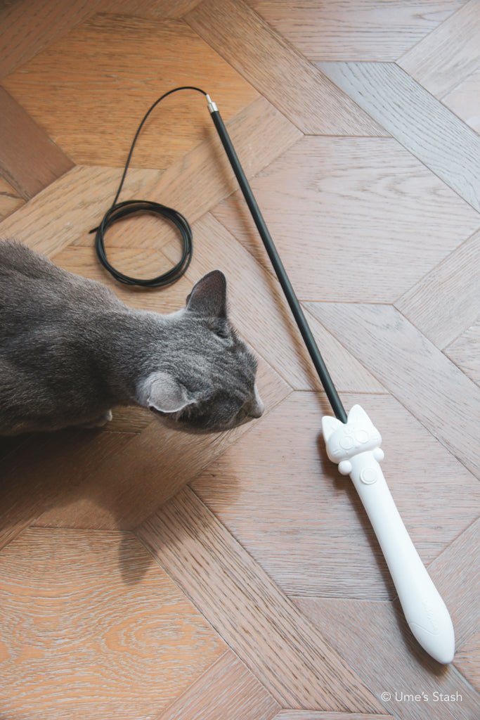 Buddyboo - Ume's Stash