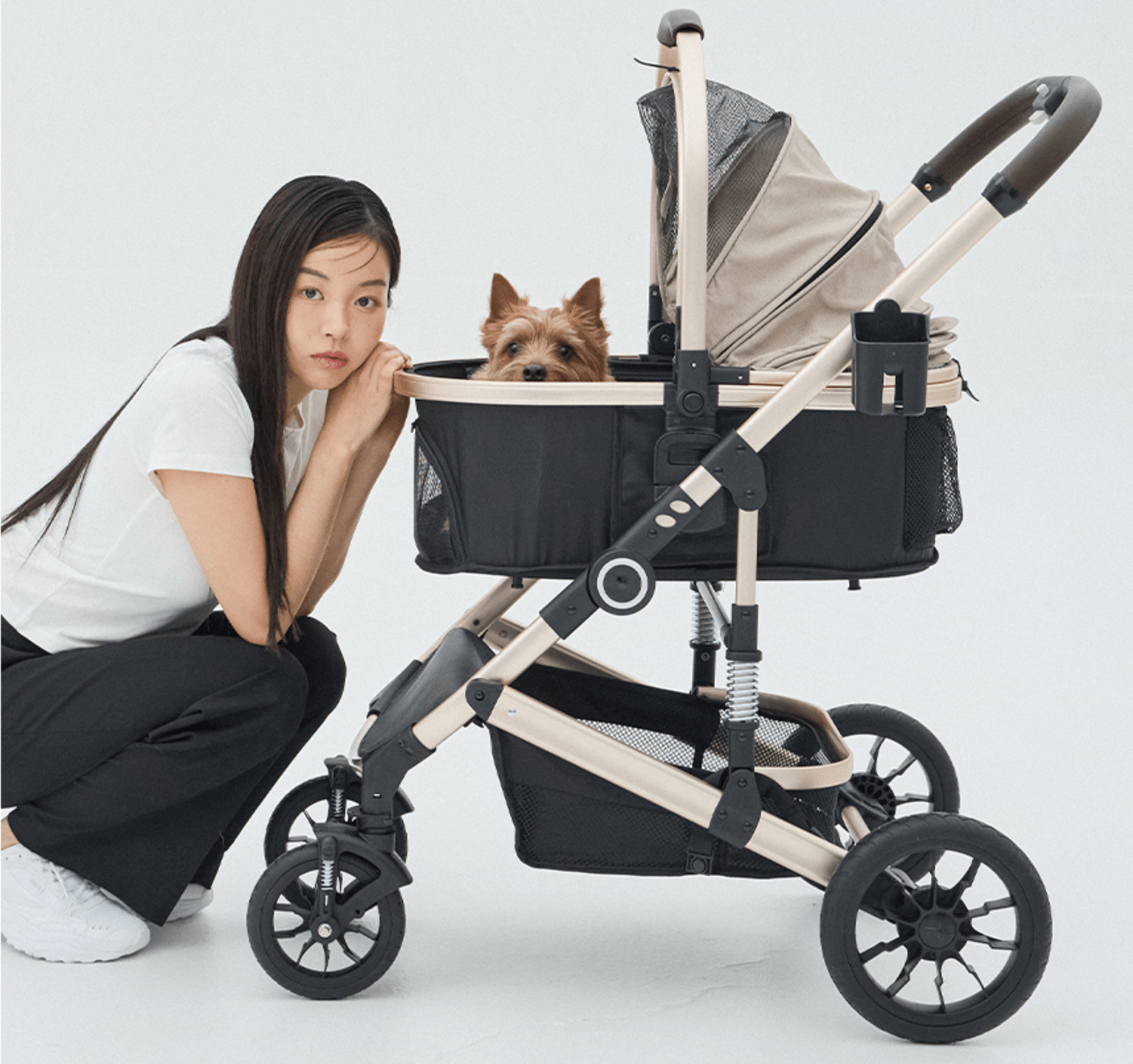 For dogs - Ume's Stash