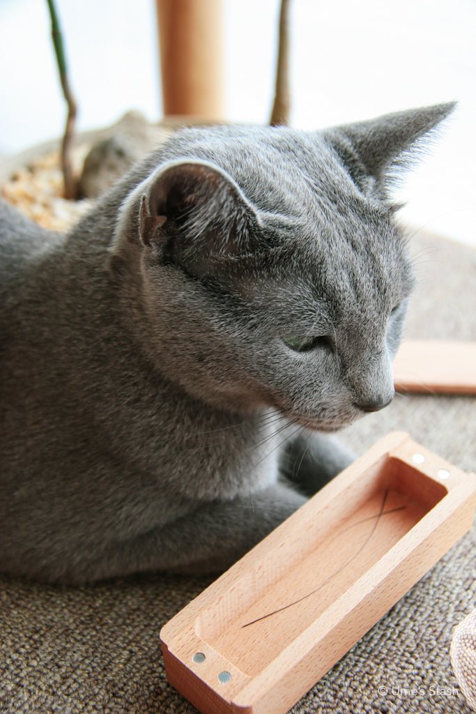 Miscellaneous - Ume's Stash