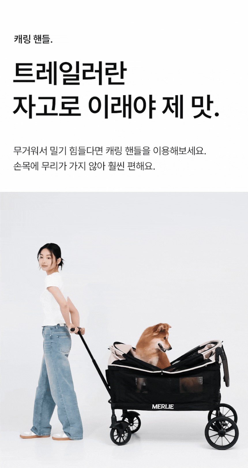 Watermelon pet stroller (Merlie MW 6) (Ver. 2)