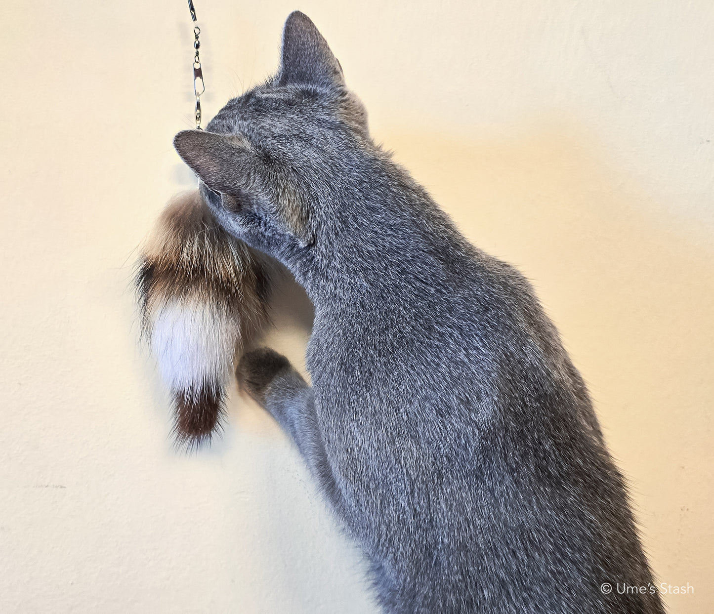 Raccoon tail wand attachment