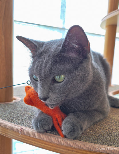 Big-eyed Squid wand attachment