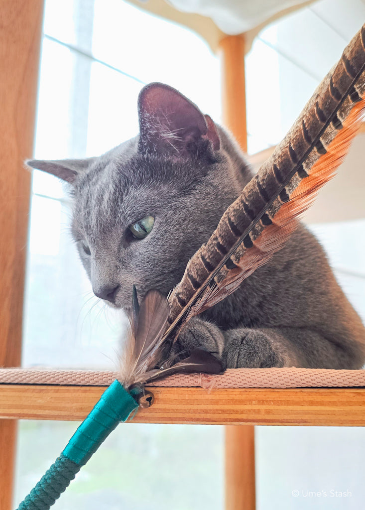 Silkie feather wand toy