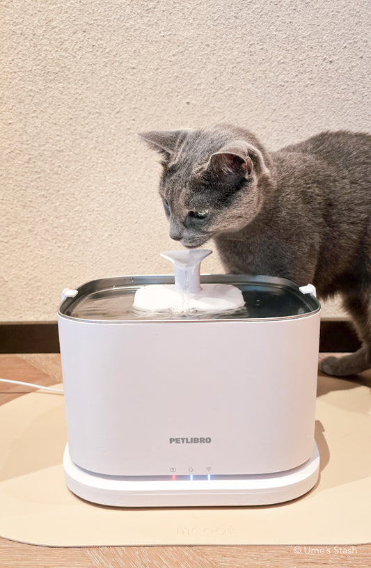 Dockstream 2 water fountain (wireless + smart app)