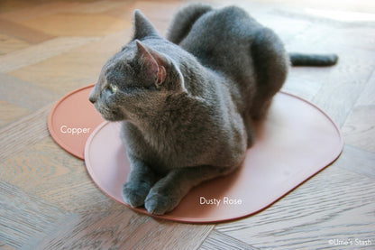 Terracotta pet bowl mat