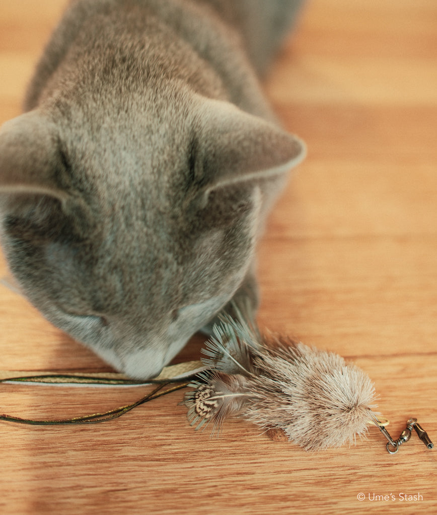 Bushy caterpillar wand attachment