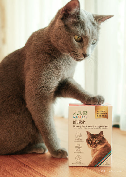 Cat Urinary Tract Health Support