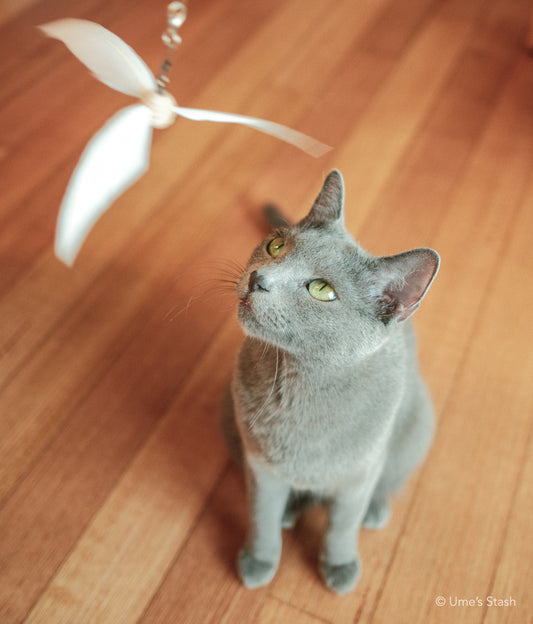 Hurricane feather wand attachment