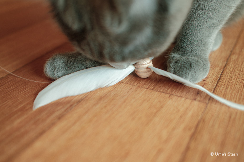 Hurricane feather wand attachment