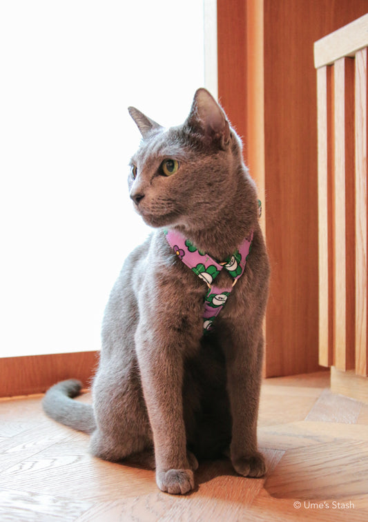 Clover H-harness
