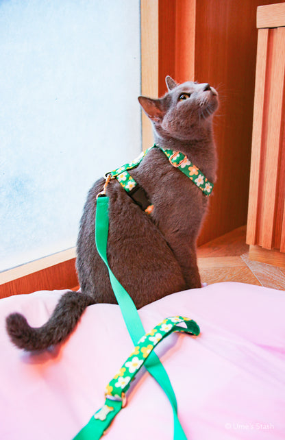 Picnic hand leash