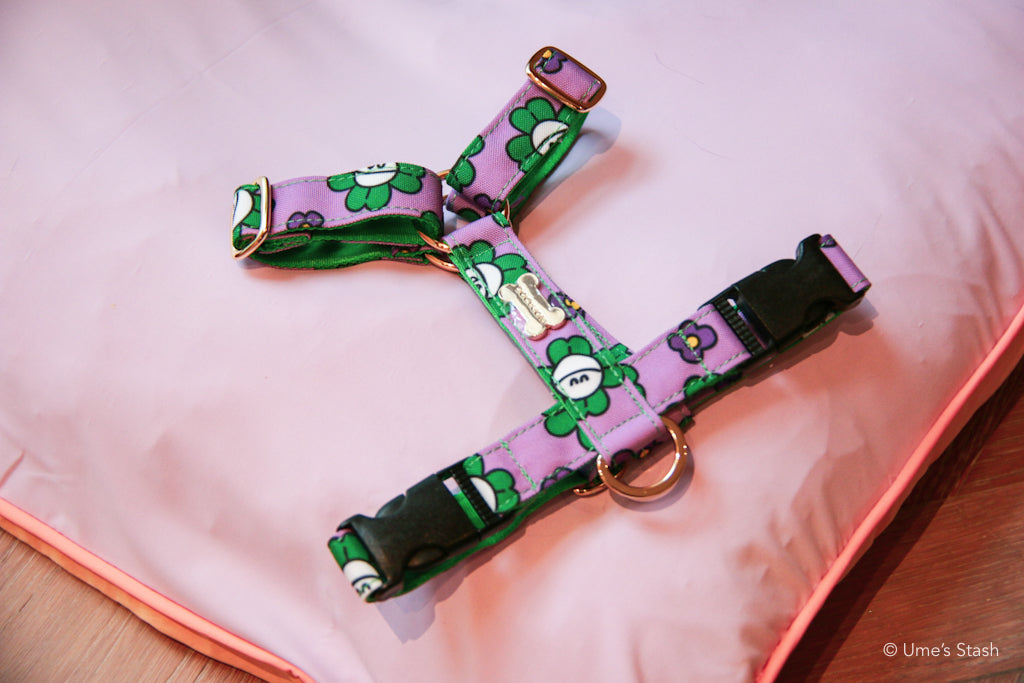 Clover H-harness