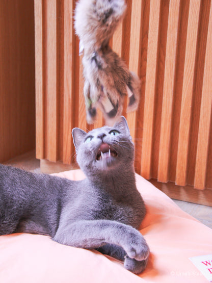 Sparkly Jellyfish Toy