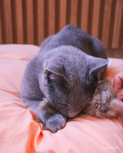 Sparkly Jellyfish Toy