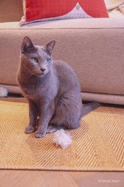 Herringbone scratcher rug (Rectangle)