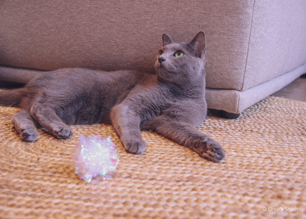 Whirlpool scratcher rug (Oval)