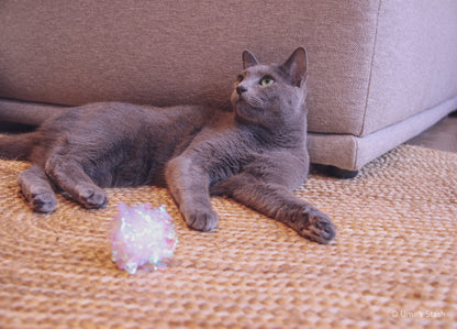 Whirlpool scratcher rug (Oval)