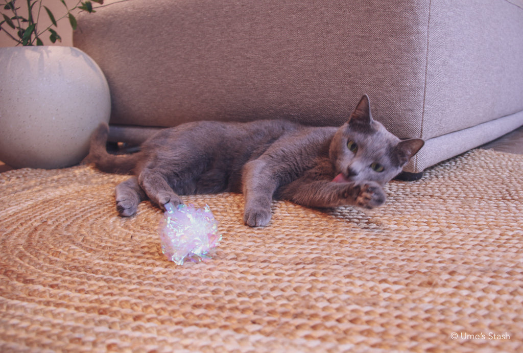 Whirlpool scratcher rug (Oval)