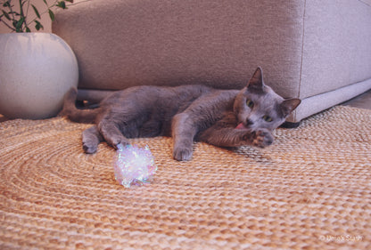 Whirlpool scratcher rug (Oval)