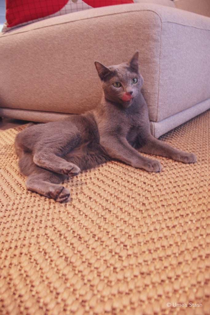 Herringbone scratcher rug (Round)