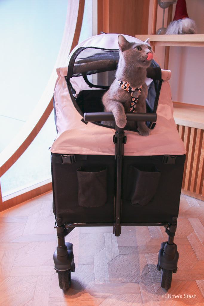 Watermelon pet stroller (Merlie MW 6) (Ver. 2)