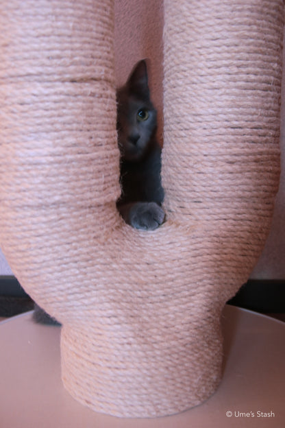 Great Maple scratching post (Spring pink)