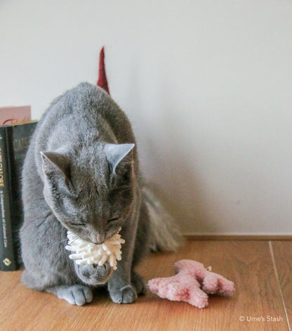 Coral cat toys